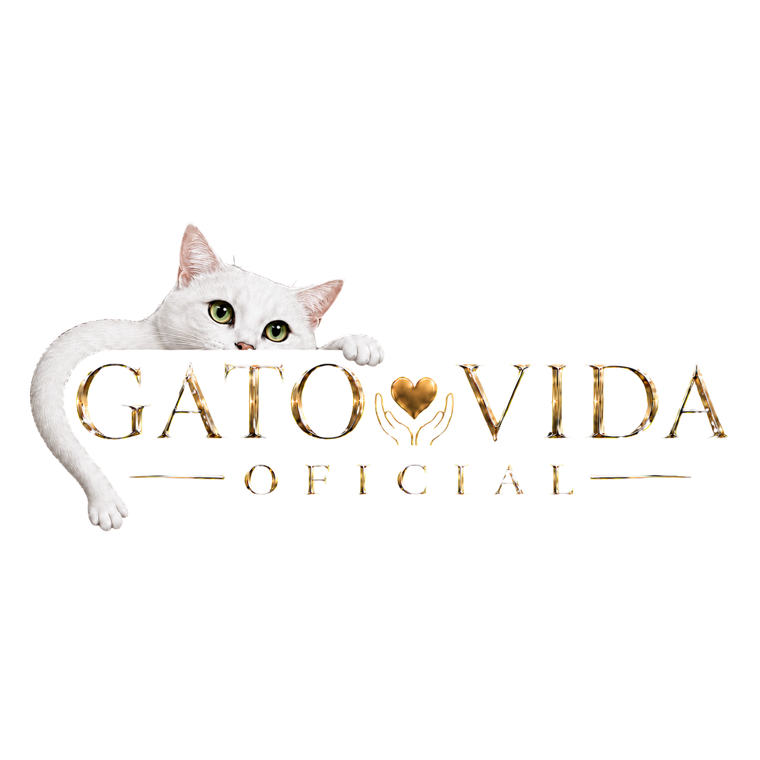 Gato Vida Oficial